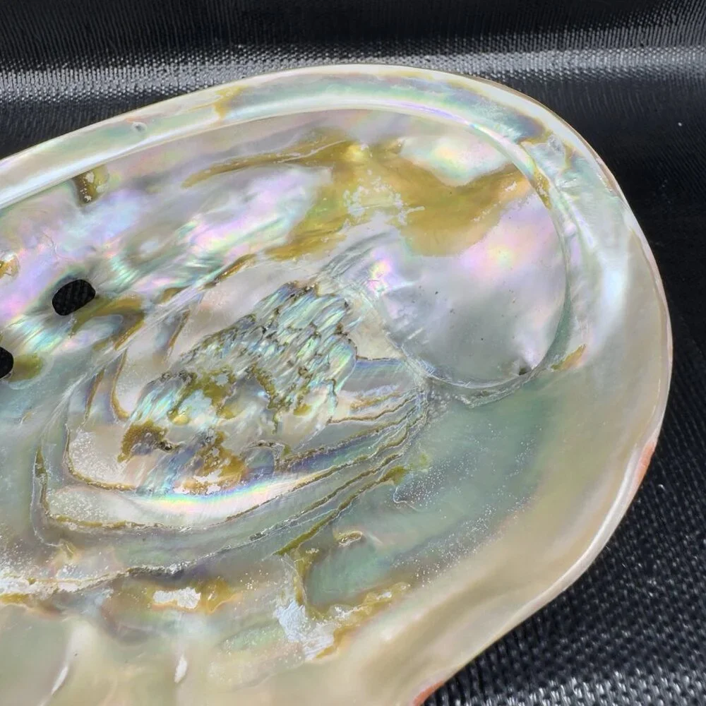 Natural Abalone Shell Large Dish Bowl Container Trinket Holder Iridescent Smooth